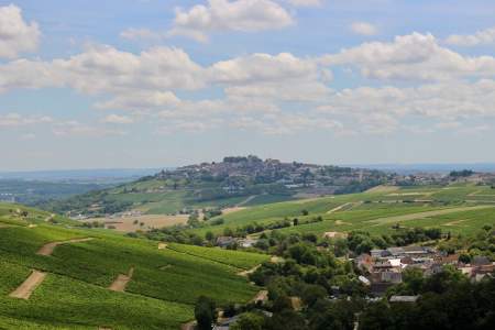 Paysage viticole dans le Loiret, proche de l'hôtel de charme l'Auberge des Templiers